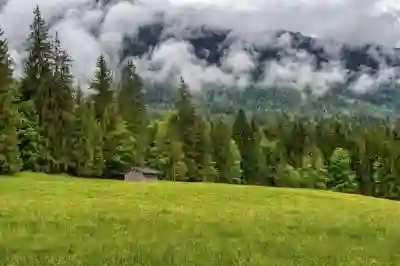 오메가3의 건강 효능과 최적의 복용 시간 알아보자