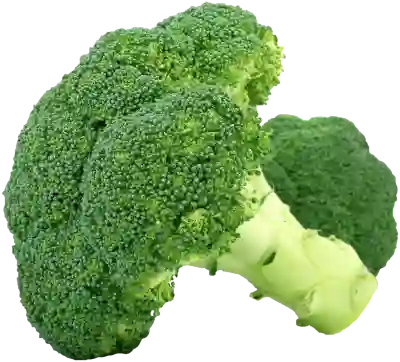 올컷 다이어트 식단의 효과적인 조합 알아보자