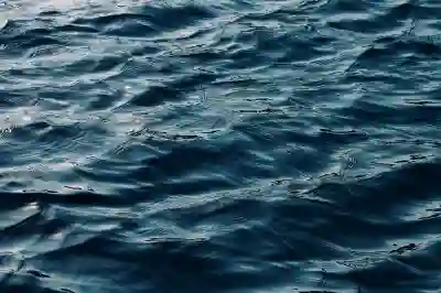 이사 후 청소를 쉽게 하는 꿀팁