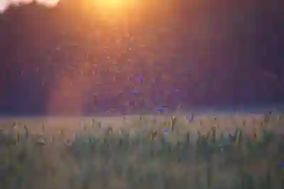 점 제거 자연 요법의 효과와 부작용 살펴보기