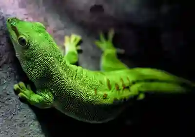 매일 조금씩 정리 정돈하는 꿀팁