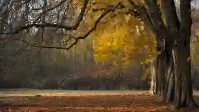 주식시장에서 안전한 피난처 가치주 알아보자