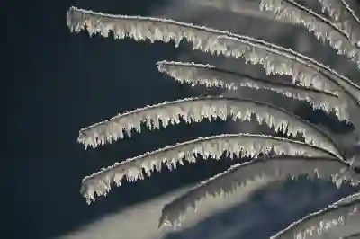 클라리티2 아이스 점 제거 비용과 효과 살펴보기