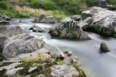 화순입주청소로 깨끗한 집에서 시작하는 방법