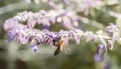 국비지원 무료취득 자격증 신청방법과 혜택 알아보자