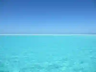 부산시 8월 15일 야간에 문 여는 당번 약국 알아보자