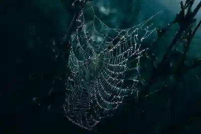 여권 만료 후 재발급 신청 방법과 비용 알아보자