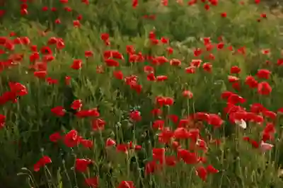부천 상동 진달래효성 아파트 입주청소 꿀팁 알아보기