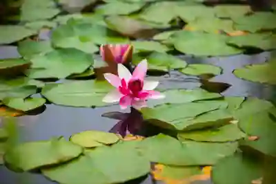부천시 상동진달래효성 입주청소 효율적으로 하는 4가지 팁