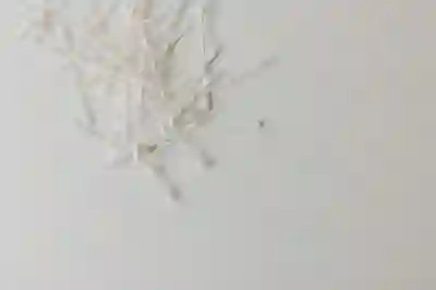 입주청소를 위한 필수 청소 도구 4가지 알아보자