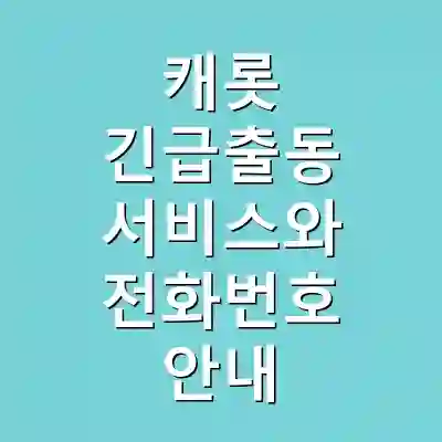 캐롯 긴급출동 서비스와 전화번호 안내